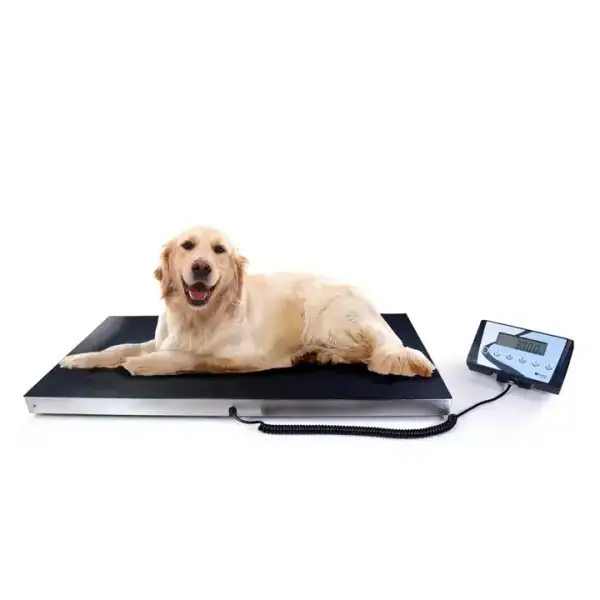 Veterinary Scales