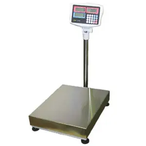 T-SCALE KC-MS COUNTING FLOOR SCALE - SHORT OR LONG TERM HIRE