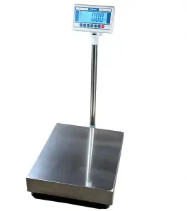 CSG BR-MS SERIES INDUSTRIAL FLOOR SCALES