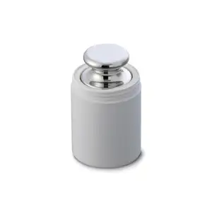 OHAUS OIML E2 WEIGHTS