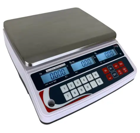 Click Here To Enlarge This Photo Of CSG XTA RETAIL SCALE